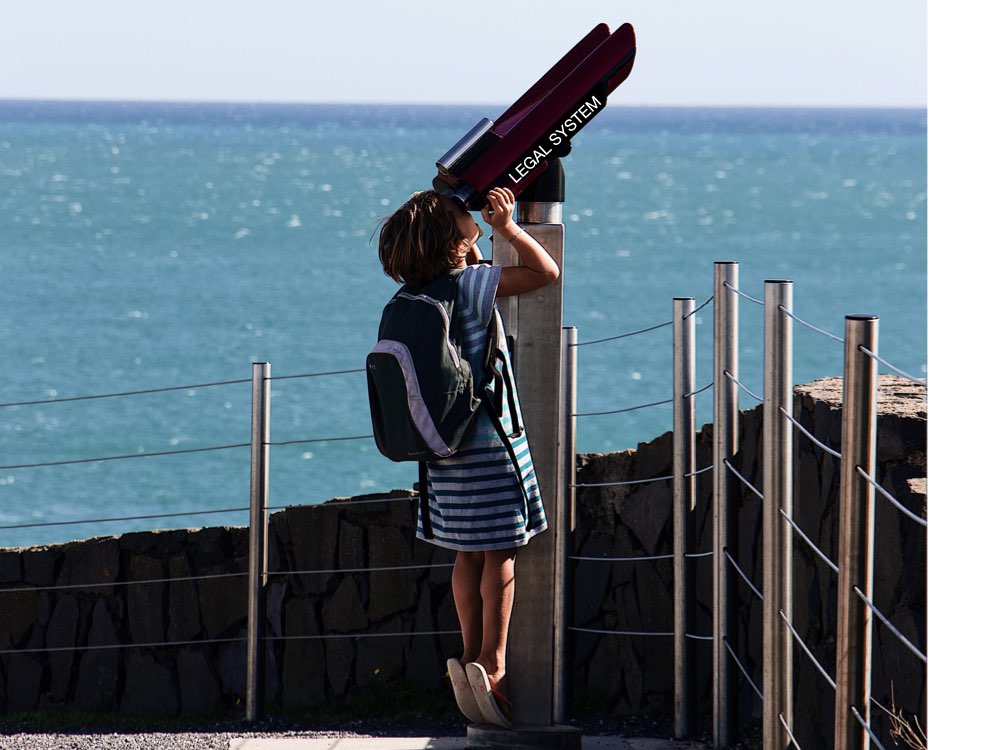 Observation of the temporal processes in the judicial system